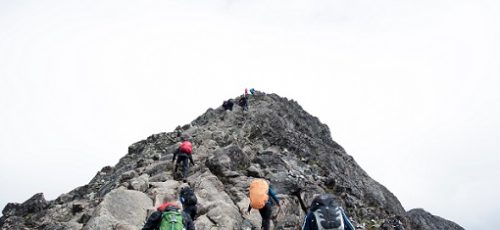 ¿Cómo gestionar un equipo de alto rendimiento?