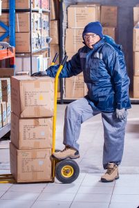 logistica