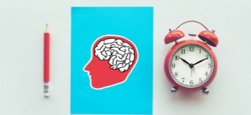 Ritmos Circadianos: ¿Cuál es la mejor hora para estudiar?